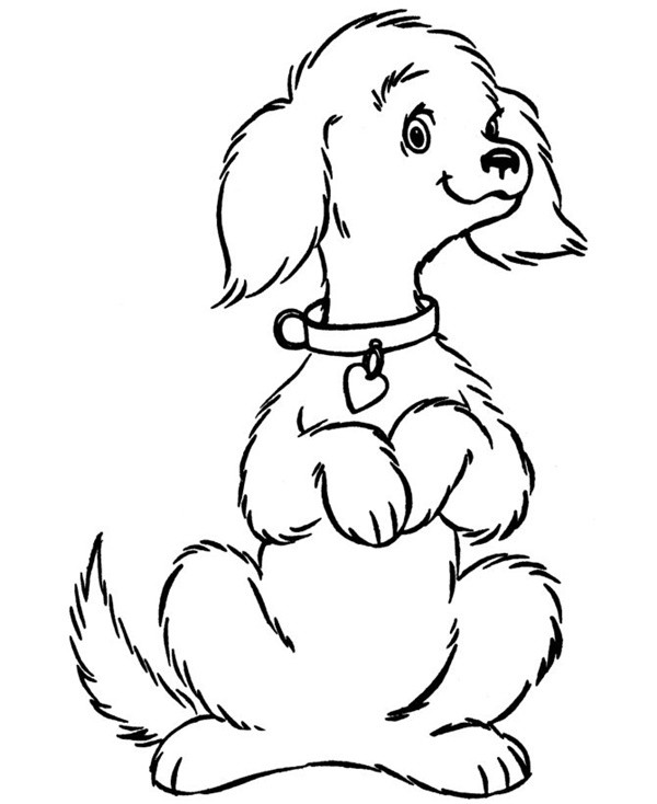 28 Easy Cartoon Dog Sitting Down Drawings To Make